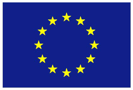 Bandiera europea a 12 stelle su sfondo blu